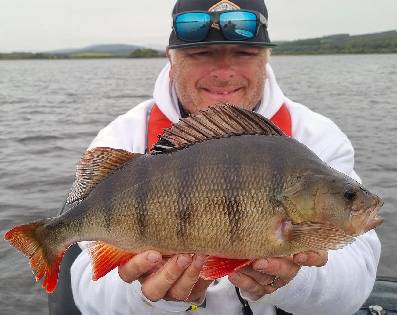 Westin W8 Finesse Shad 2nd 7`5